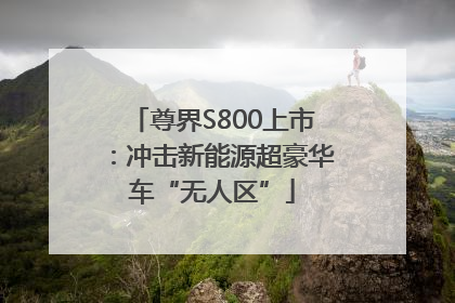 尊界S800上市：冲击新能源超豪华车“无人区”