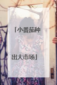 小番茄种出大市场