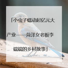 小虫子蠕动起亿元大产业——菏泽女老板李端端的乡村故事