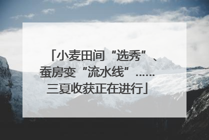 小麦田间“选秀”、蚕房变“流水线”……三夏收获正在进行