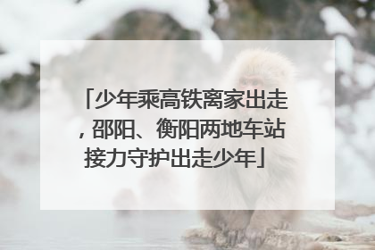 少年乘高铁离家出走，邵阳、衡阳两地车站接力守护出走少年