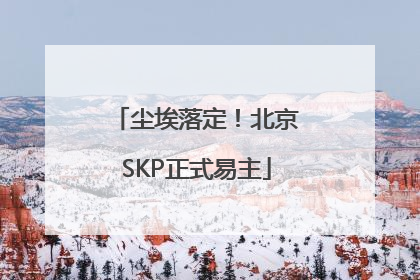 尘埃落定！北京SKP正式易主