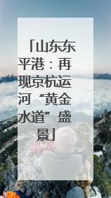 山东东平港：再现京杭运河“黄金水道”盛景