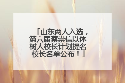 山东两人入选，第六届蔡崇信以体树人校长计划提名校长名单公布！