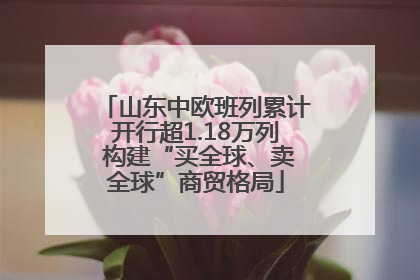 山东中欧班列累计开行超1.18万列 构建“买全球、卖全球”商贸格局