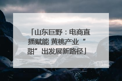 山东巨野：电商直播赋能 黄桃产业“甜”出发展新路径