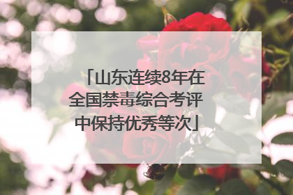 山东连续8年在全国禁毒综合考评中保持优秀等次