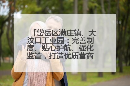 岱岳区满庄镇、大汶口工业园：完善制度、贴心护航、强化监管，打造优质营商“强磁场”