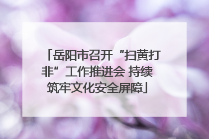 岳阳市召开“扫黄打非”工作推进会 持续筑牢文化安全屏障