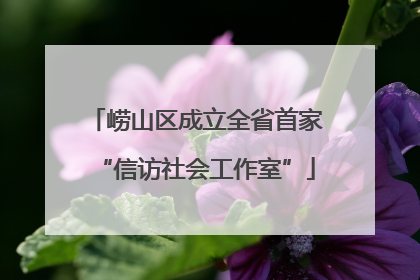 崂山区成立全省首家“信访社会工作室”