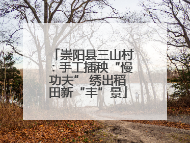 崇阳县三山村：手工插秧“慢功夫” 绣出稻田新“丰”景