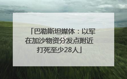 巴勒斯坦媒体：以军在加沙物资分发点附近打死至少28人