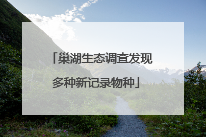 巢湖生态调查发现多种新记录物种