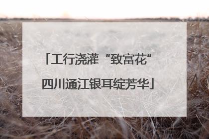 工行浇灌“致富花” 四川通江银耳绽芳华