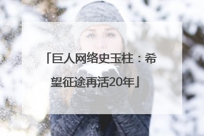 巨人网络史玉柱：希望征途再活20年