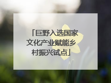 巨野入选国家文化产业赋能乡村振兴试点