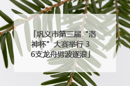 巩义市第三届“洛神杯”大赛举行 36支龙舟劈波逐浪