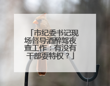 市纪委书记现场督导酒醉驾夜查工作：有没有干部耍特权？
