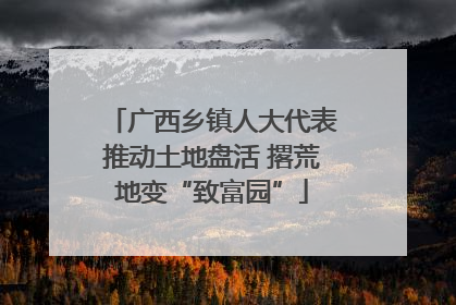 广西乡镇人大代表推动土地盘活 撂荒地变“致富园”