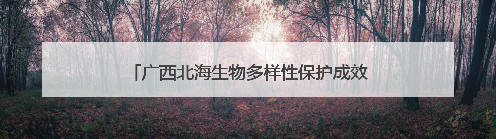 广西北海生物多样性保护成效明显 红树林面积居广西首位