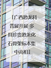 广西恐龙科普展开展 多具珍贵恐龙化石骨架标本集中亮相