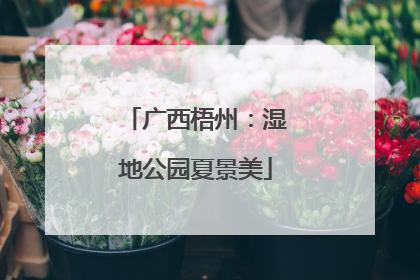 广西梧州：湿地公园夏景美