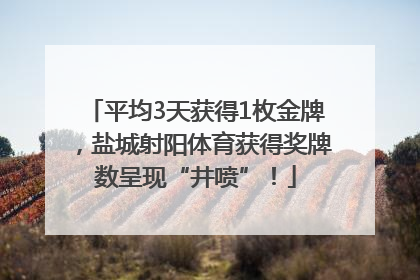 平均3天获得1枚金牌，盐城射阳体育获得奖牌数呈现“井喷”！