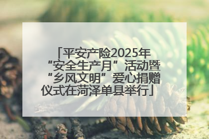 平安产险2025年“安全生产月”活动暨“乡风文明”爱心捐赠仪式在菏泽单县举行