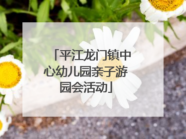 平江龙门镇中心幼儿园亲子游园会活动