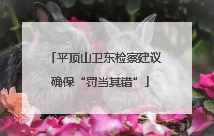 平顶山卫东检察建议确保“罚当其错”