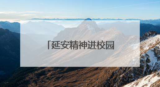 延安精神进校园暨红领巾大讲堂活动在小店区晋阳街小学举行