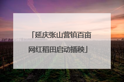 延庆张山营镇百亩网红稻田启动插秧