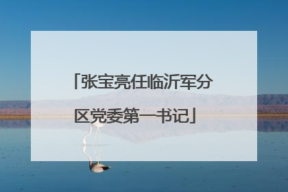 张宝亮任临沂军分区党委第一书记