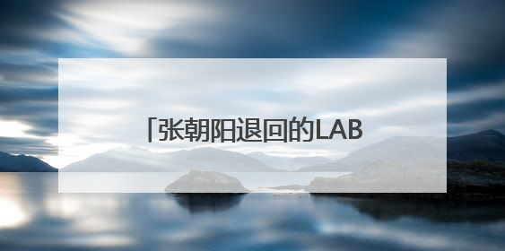 张朝阳退回的LABUBU，换了一辆车