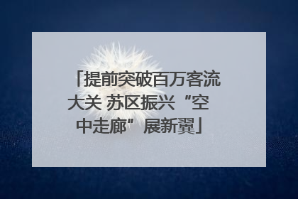 提前突破百万客流大关 苏区振兴“空中走廊”展新翼