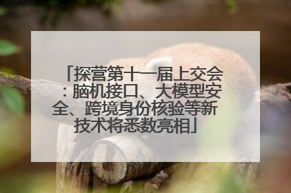 探营第十一届上交会：脑机接口、大模型安全、跨境身份核验等新技术将悉数亮相