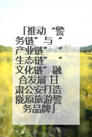 推动“警务链”与“产业链”“生态链”“文化链”融合发展 甘肃公安打造陇原旅游警务品牌