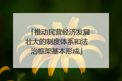 推动民营经济发展壮大的制度体系和法治框架基本形成