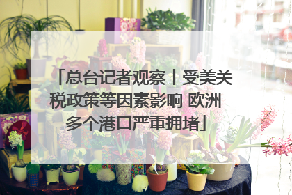 总台记者观察丨受美关税政策等因素影响 欧洲多个港口严重拥堵