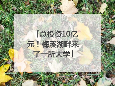 总投资10亿元！梅溪湖畔来了一所大学