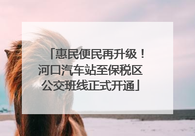 惠民便民再升级！河口汽车站至保税区公交班线正式开通