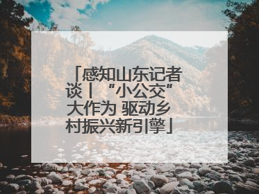 感知山东记者谈丨“小公交”大作为 驱动乡村振兴新引擎
