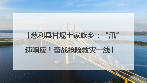 慈利县甘堰土家族乡：“汛”速响应！奋战抢险救灾一线