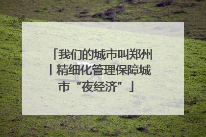 我们的城市叫郑州丨精细化管理保障城市“夜经济”