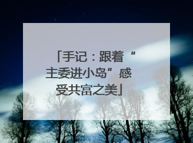 手记：跟着“主委进小岛”感受共富之美