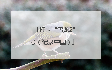 打卡“雪龙2”号（记录中国）