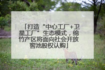 打造“中心工厂+卫星工厂”生态模式，绵竹产区将面向社会开放窖池股权认购