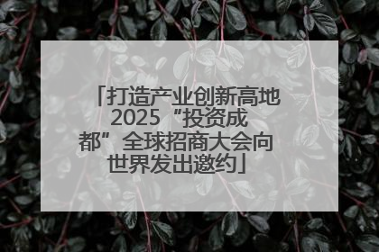 打造产业创新高地 2025“投资成都”全球招商大会向世界发出邀约