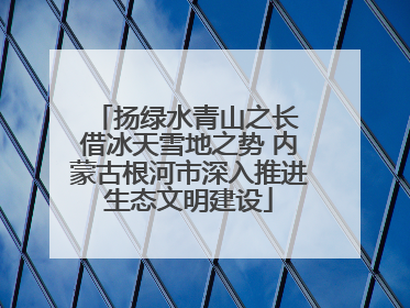 扬绿水青山之长 借冰天雪地之势 内蒙古根河市深入推进生态文明建设