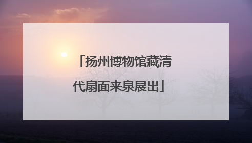 扬州博物馆藏清代扇面来泉展出